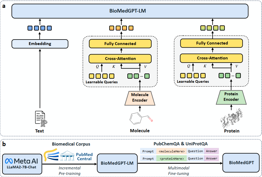 BioMedGPT: An Open Multimodal Large Language Model for BioMedicine